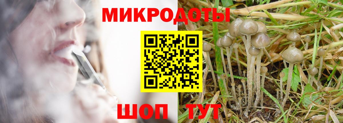 Железноводск  Псилоцибиновые грибы мицелий  Вход с VPN  Галлюциногенные грибы Cubensis 